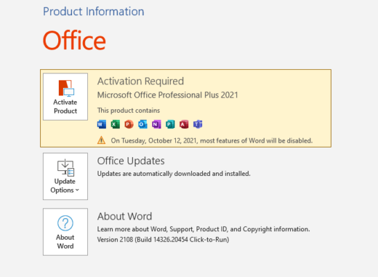 Microsoft Office 2021 v2023.07 Standart / Pro Plus for windows instal free